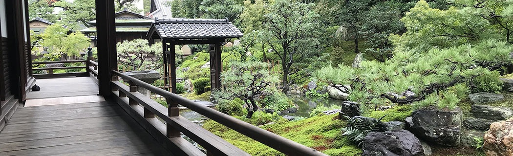 temokeryo01 建仁寺のお寺のイメージ画像