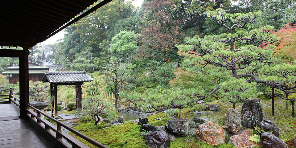 ryousokuintemple04 建仁寺塔頭両足院の庭