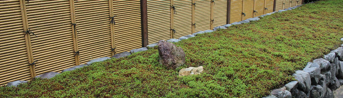 shougoninboen00 東福寺荘厳院の樹木葬地の墓苑
