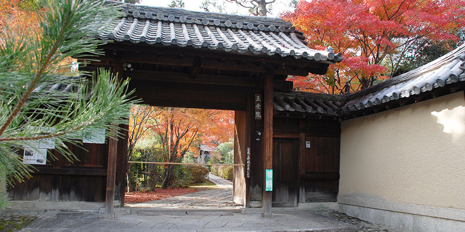 shoujuintemple02 大徳寺の正受院の山門