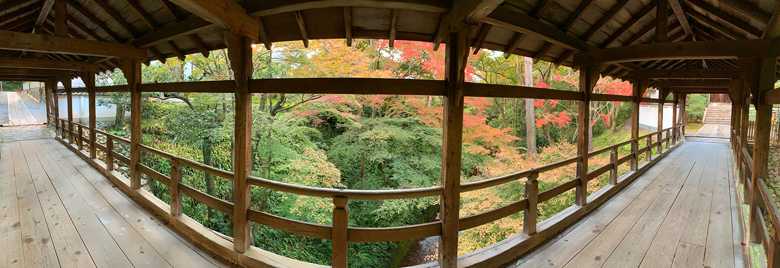 kouyou1120-c 東福寺の偃月橋からの紅葉