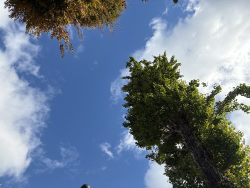 写真-2025-11-18-13-59-30