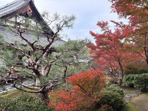 写真-2025-11-27-15-35-46