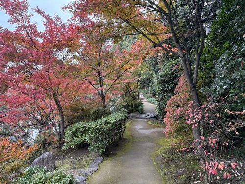 写真-2025-11-27-15-35-57