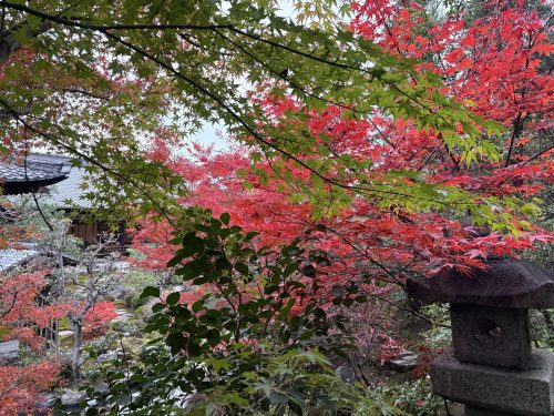 写真-2025-11-27-15-36-24