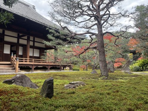 写真-2025-12-01-10-25-43