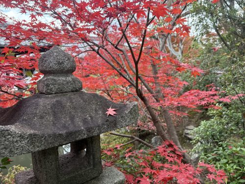 写真-2025-12-01-10-26-58