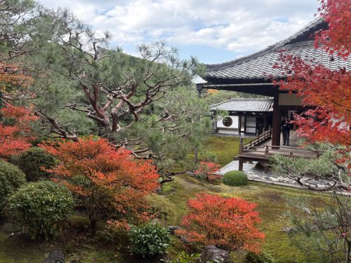 写真-2025-12-01-10-28-44