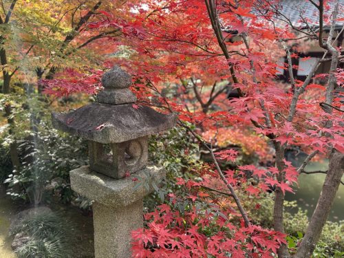 写真-2025-12-01-13-29-10