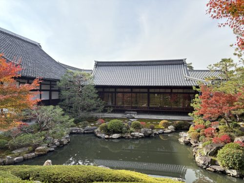 写真-2025-12-01-13-31-04