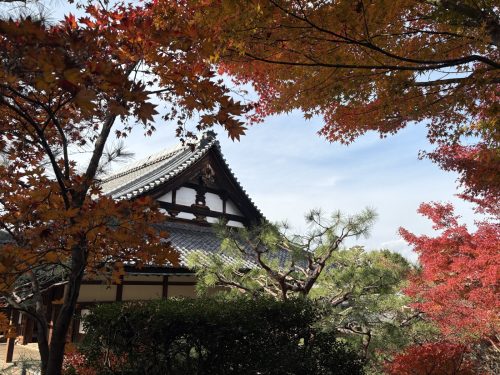 写真-2025-12-01-13-33-19