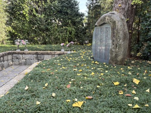 写真-2025-12-01-13-36-43