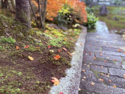 写真-2025-12-01-13-47-57