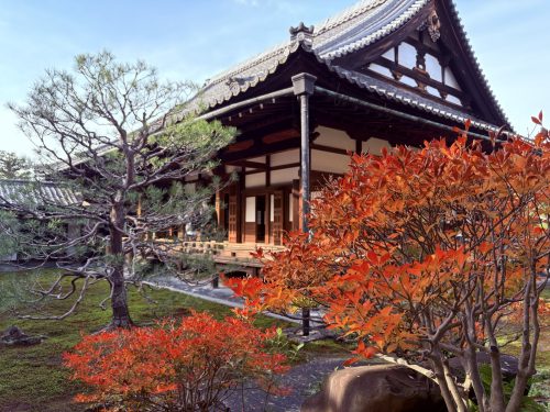 写真-2025-12-01-13-48-42