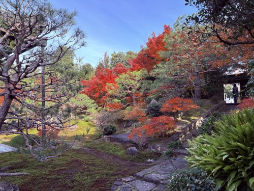 写真-2025-12-01-13-49-28