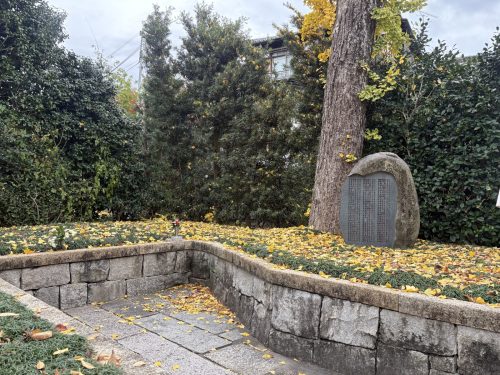 写真-2025-12-03-14-39-56