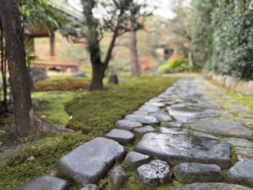 写真-2025-12-08-11-41-42