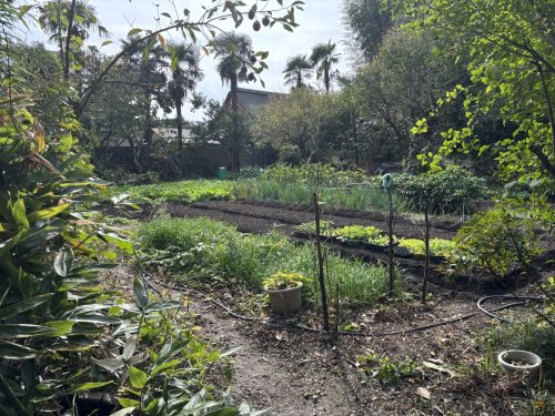 写真-2025-11-02-13-04-49