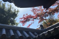 2025年11～12月_正受院