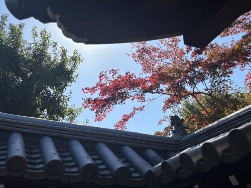 写真-2025-11-16-11-58-04