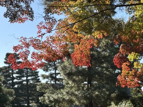 写真-2025-11-16-9-37-42