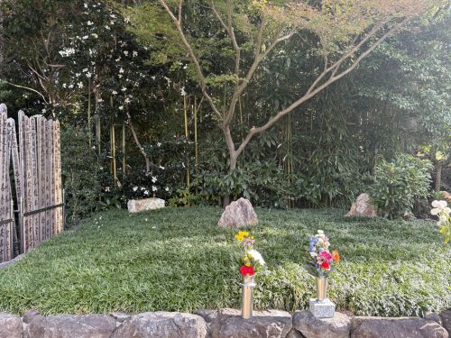 写真-2025-11-23-10-53-18