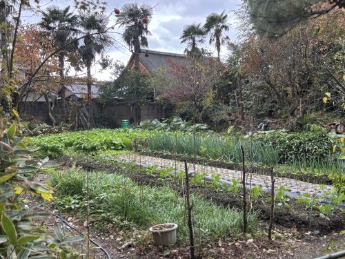 写真-2025-11-26-12-14-52