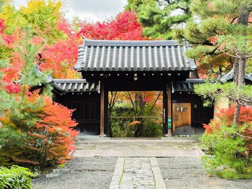 写真-2025-11-26-12-47-14