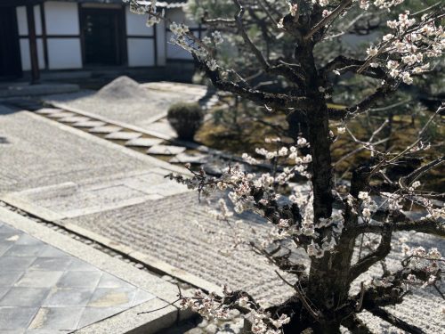写真-2025-03-10-10-20-34