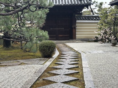 写真-2025-03-16-12-28-57