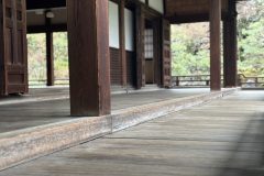2025年3～4月　春の訪れと供養祭