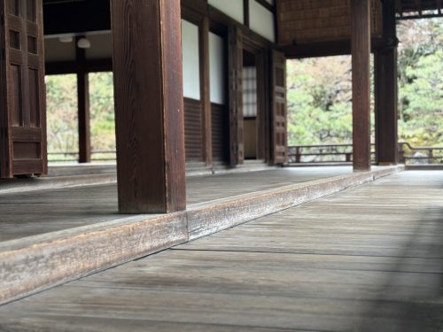 写真-2025-03-16-12-30-22
