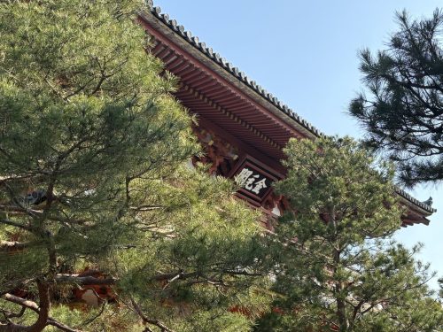 写真-2025-03-22-9-10-16