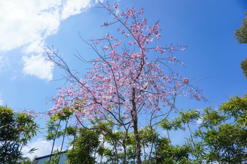 DSC00169_