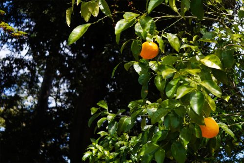 DSC00190_
