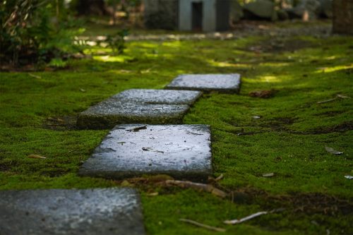 DSC00196_