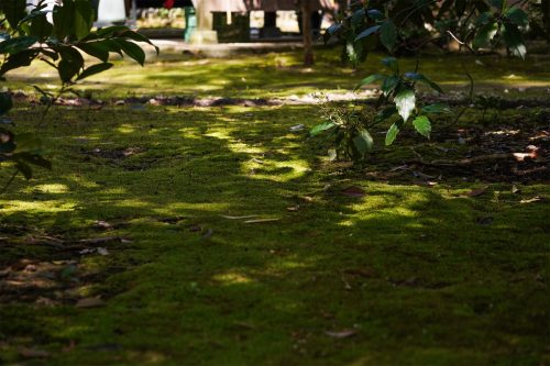 DSC00197_