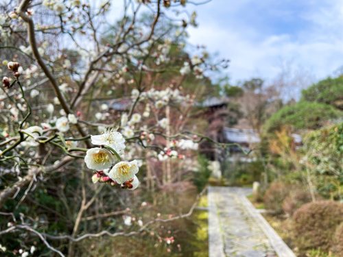 IMG_4417_