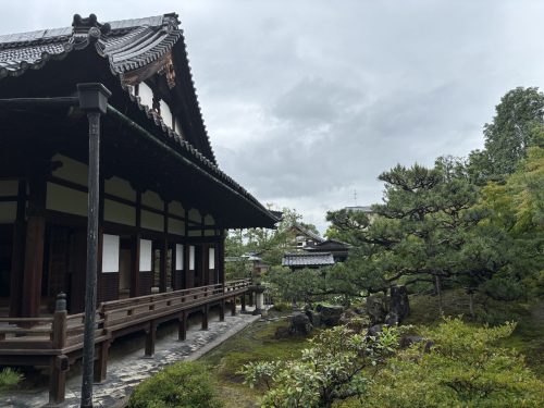 写真-2025-06-14-11-01-06