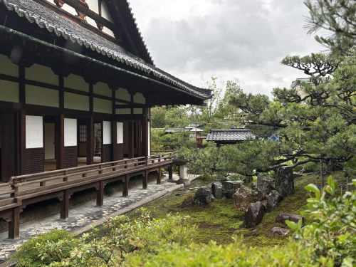 写真-2025-06-14-11-01-25