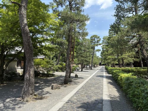 写真-2025-06-19-10-52-08-1