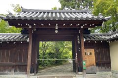 2025年5～6月 新緑の正受院