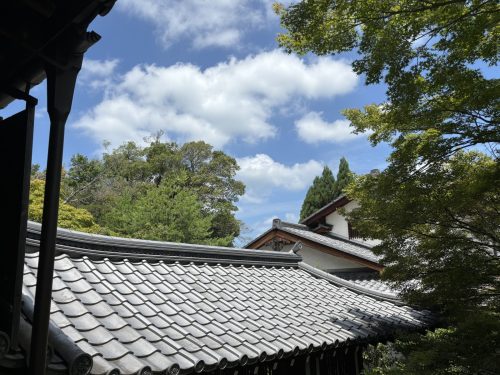 写真-2025-07-10-10-48-06