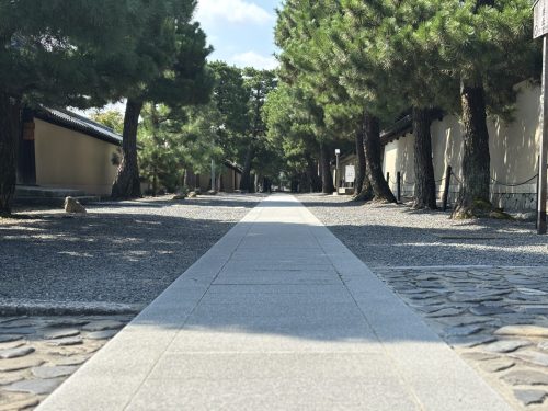 写真-2025-08-21-9-35-19