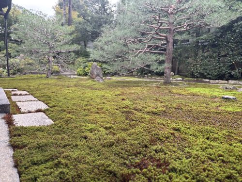 写真-2025-10-15-12-57-54