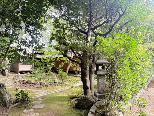 写真-2025-10-14-9-35-42