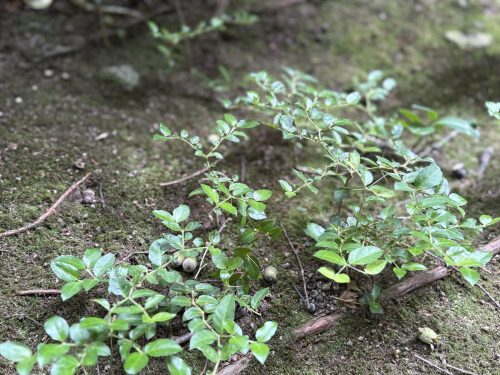 写真-2025-10-14-9-36-43