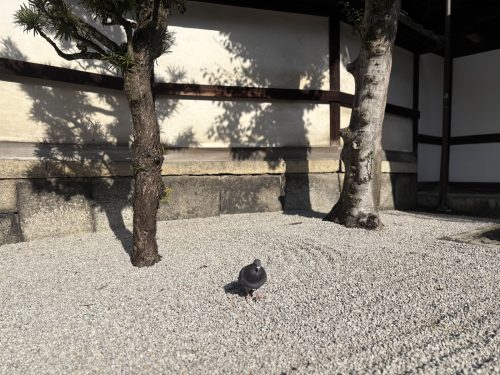 写真-2026-01-19-13-32-39