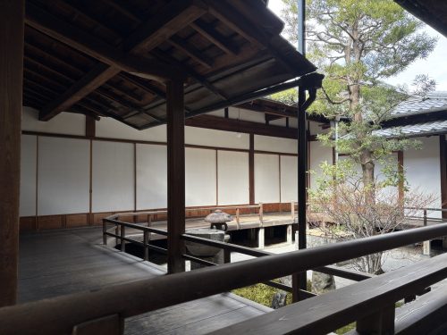 写真-2026-01-31-11-04-27