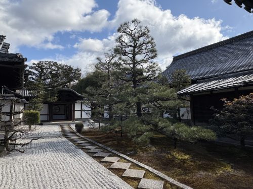 写真-2026-01-31-12-28-59